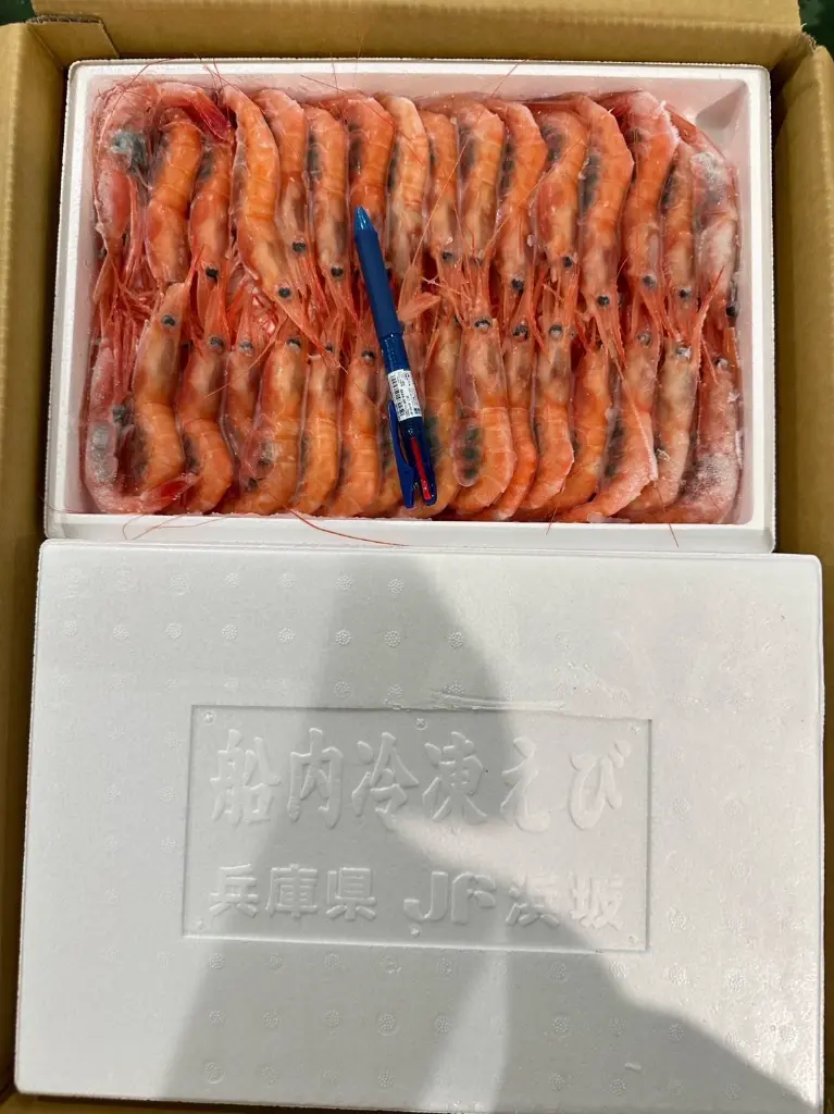 [ETA: July 11/12] Japan Amaebi / box 日本甜蝦 / 盒 500G 