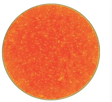 Tobiko Orange 飛魚籽 橙 100g 