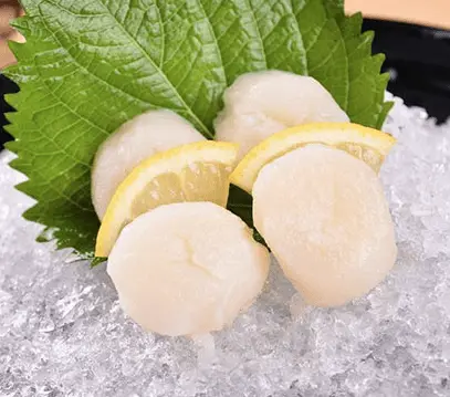 Hotate  (Scallop) 2S / LB 帶子2S /磅 