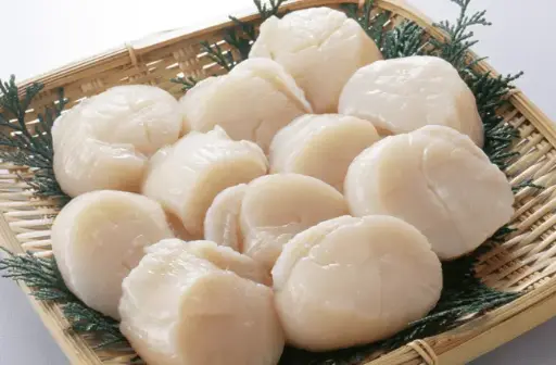 Hotate  (Scallop) 2L / LB 帶子2L /磅 