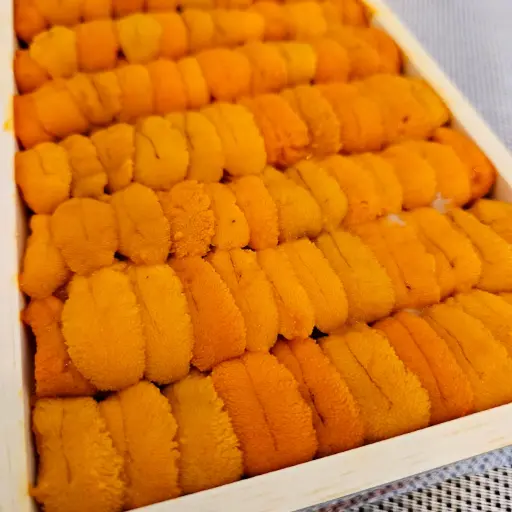 Bafun Uni 250g 馬糞海膽 250克 